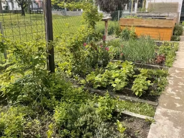 Garten.
