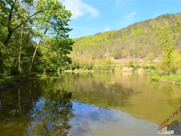 DSC_0706