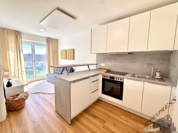 IMG_0499