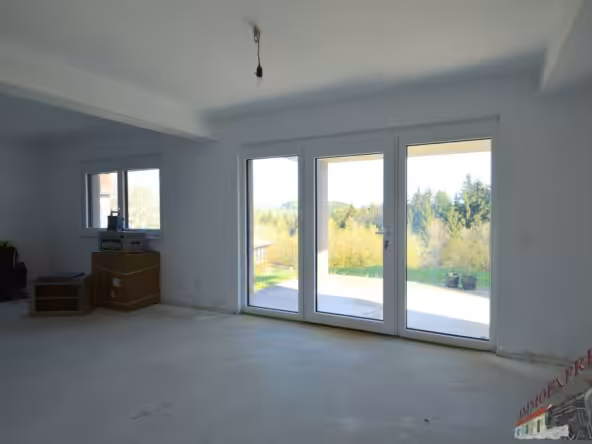 DSC_0294