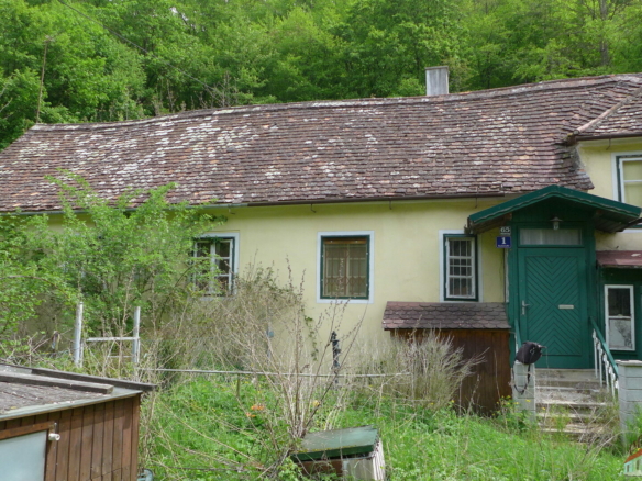 P1040850
