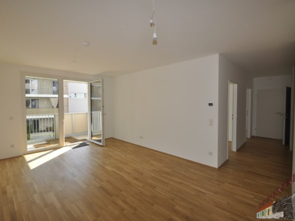 Bild1