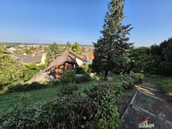 Aussicht vom Garten auf Wohnhaus