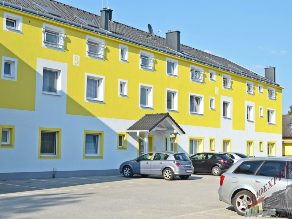 Bilder 074