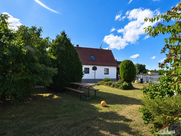 Bild7