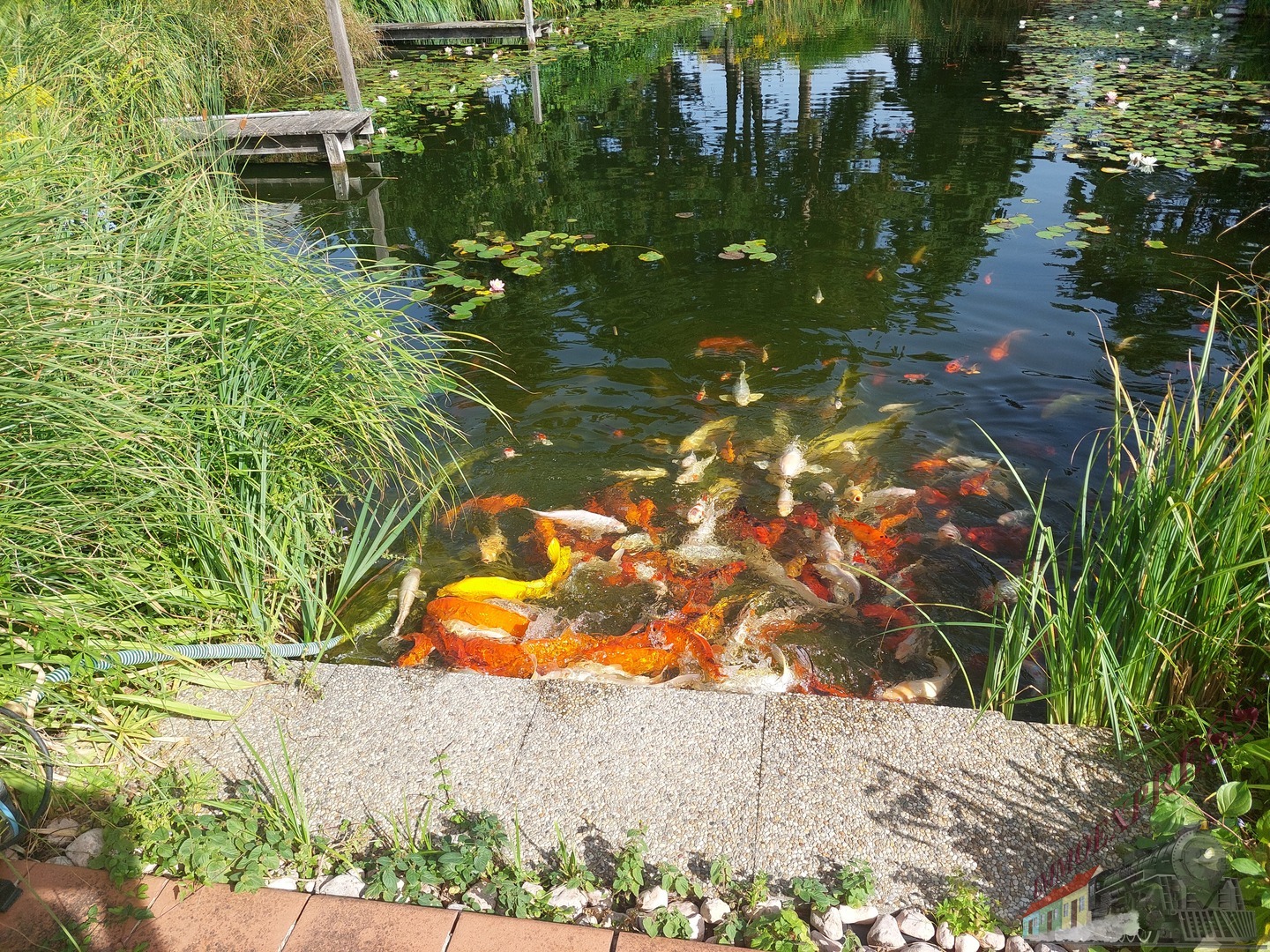 Foto 35