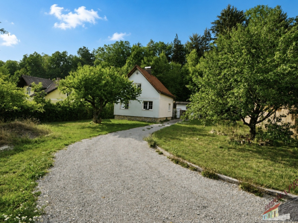 Bild7