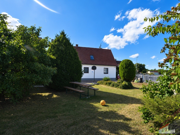Bild7