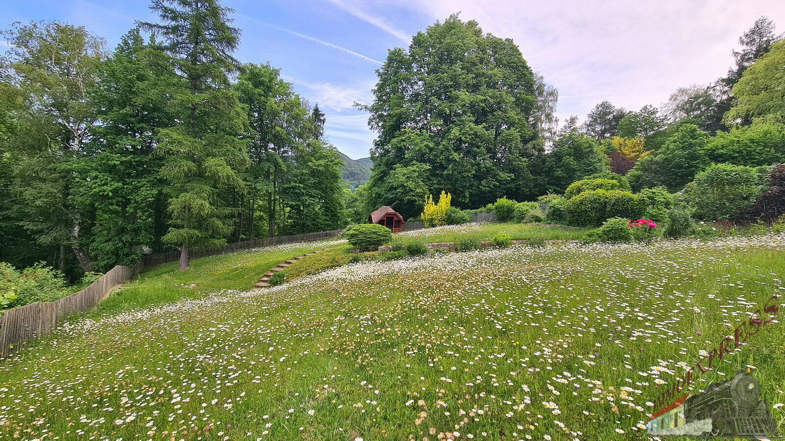 017